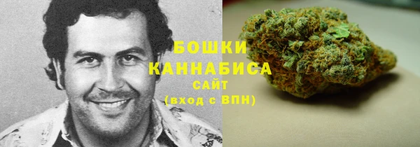 тгк Лагань