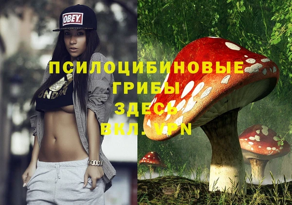 mdpv Куйбышев