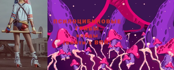 mdpv Куйбышев