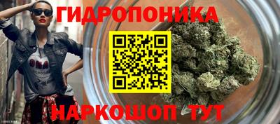 стаф Краснознаменск