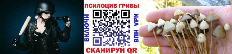 наркошоп  Орск  Галлюциногенные грибы мицелий 