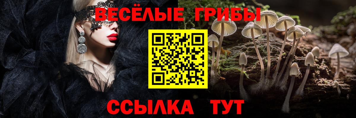 Галлюциногенные грибы Cubensis Орск