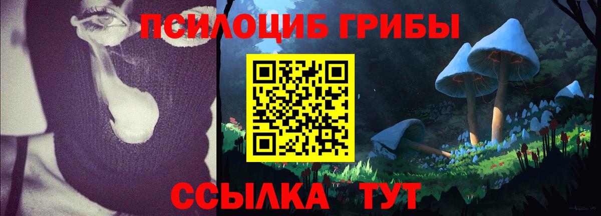 Галлюциногенные грибы мухоморы  Галлюциногенные грибы GOLDEN TEACHER  Орск  Вход с VPN 